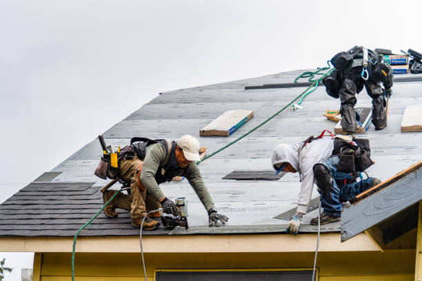 Professional Gutter Installation technician working in Nachusa, IL